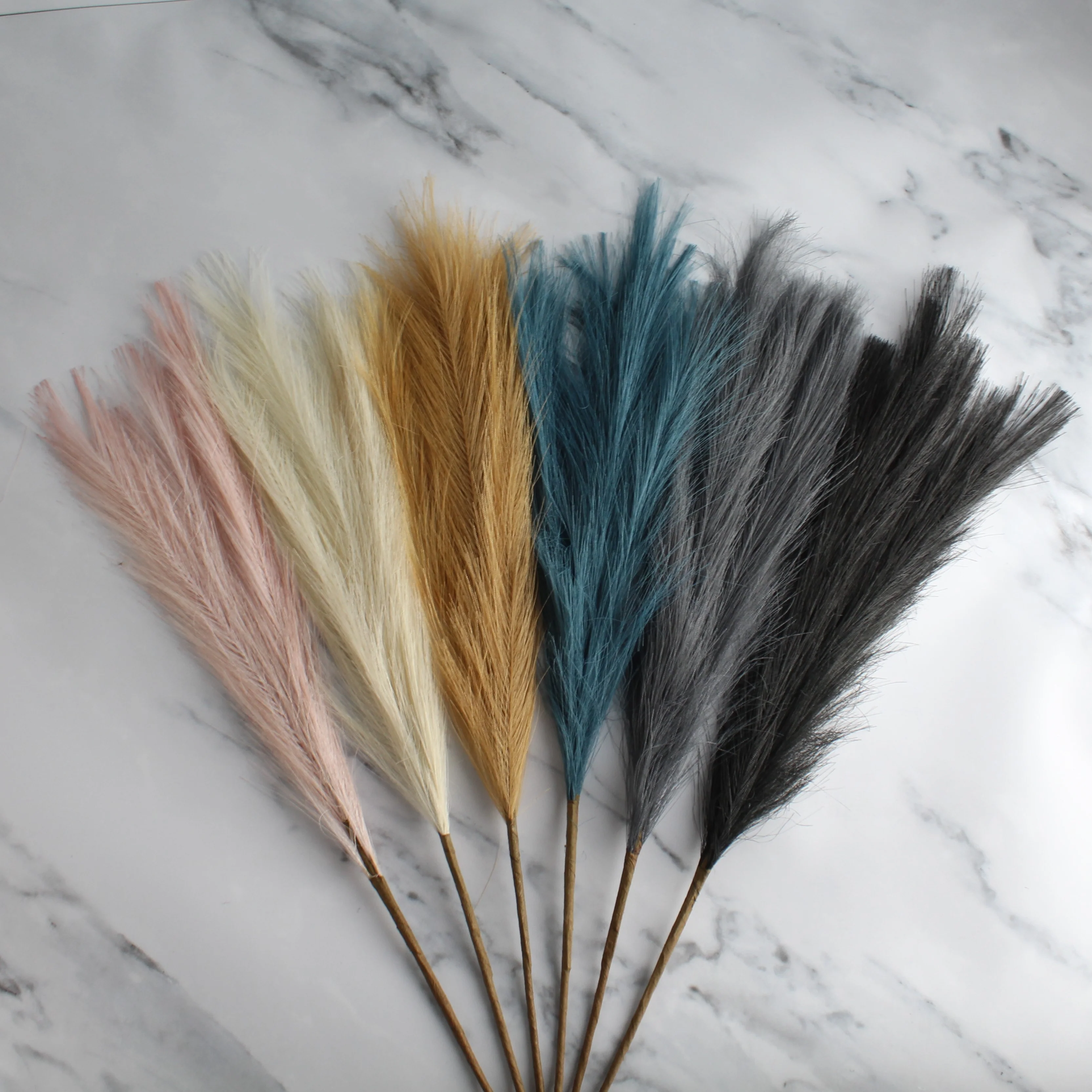 Pampas Grass