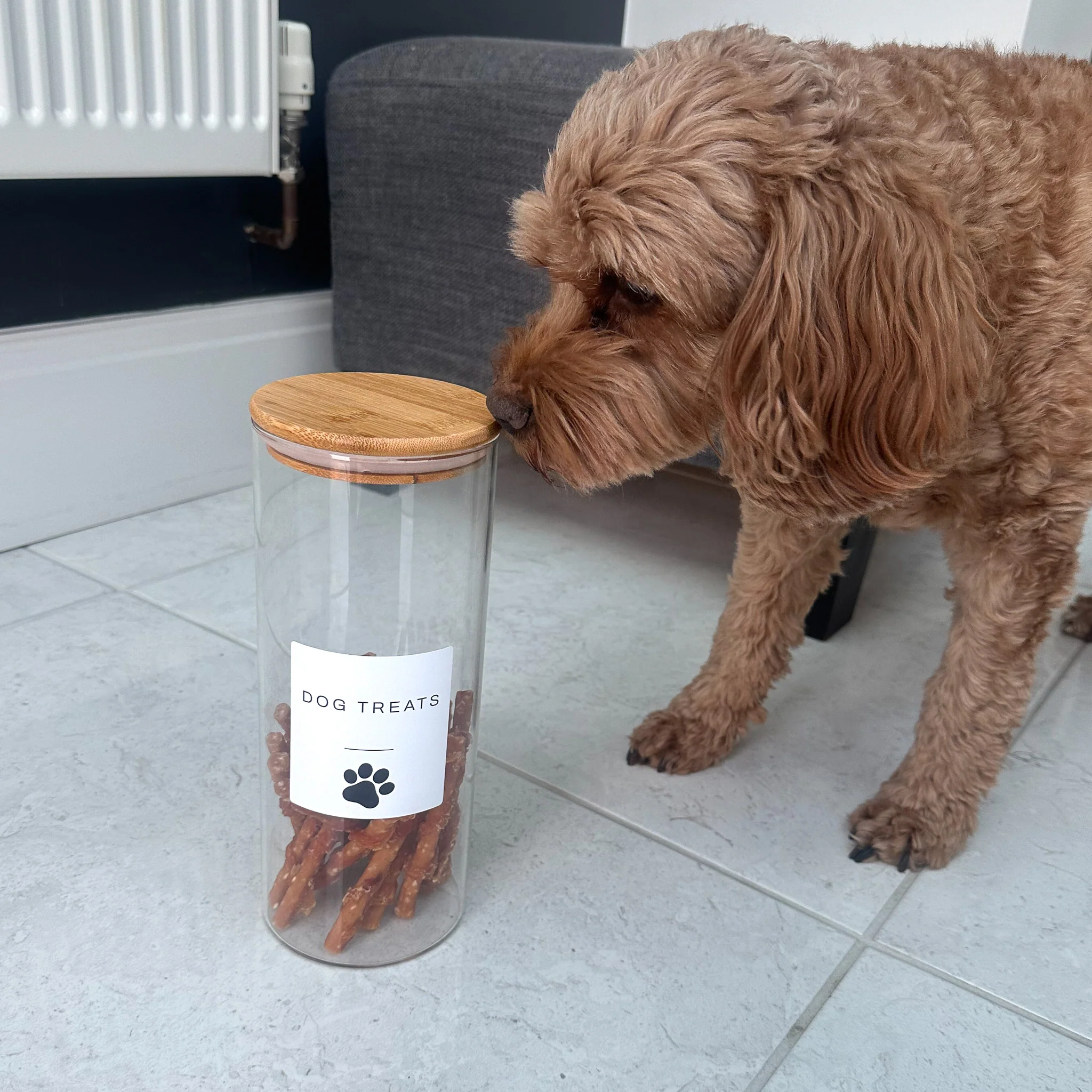 Pet Treat Jar With Bamboo Lid - Image 2